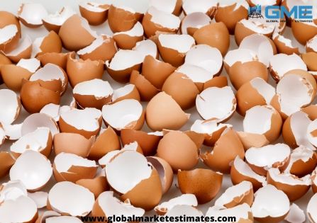 Eggshell Membrane Market